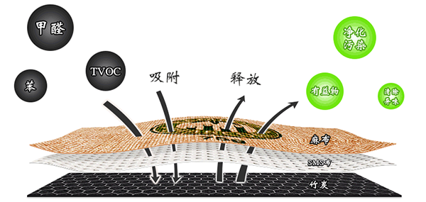 竹炭因子吸附技术.png