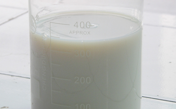 纯丙乳液.png