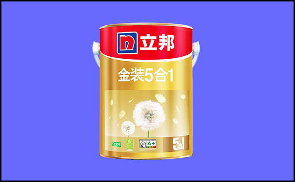 立邦金装净味五合一.jpg
