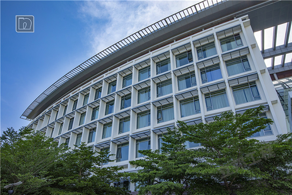 浮雕涂料图片效果一览
