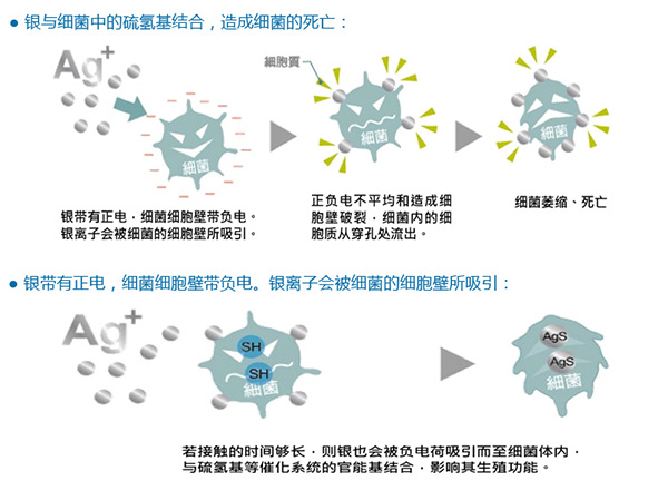 银离子杀菌.png