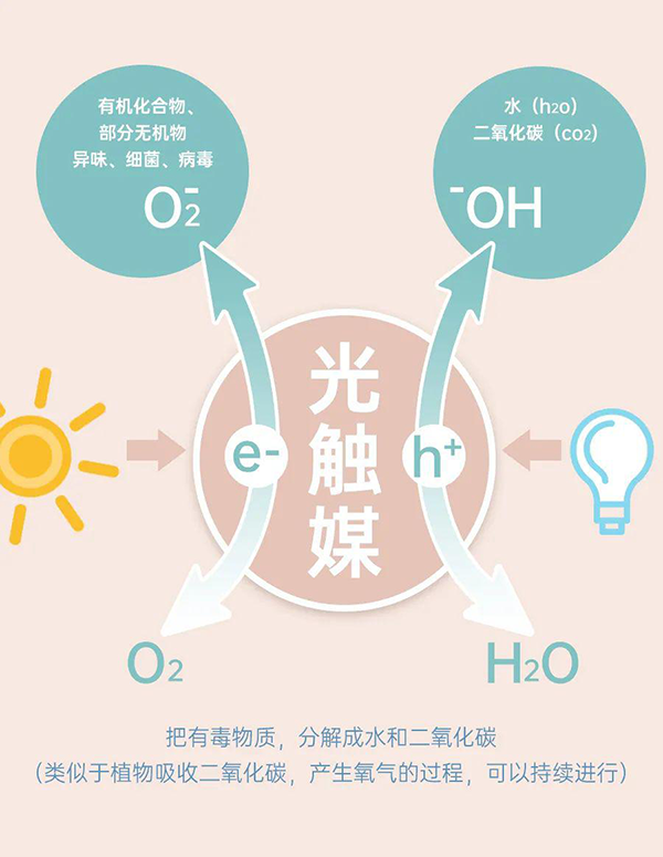光触媒.png